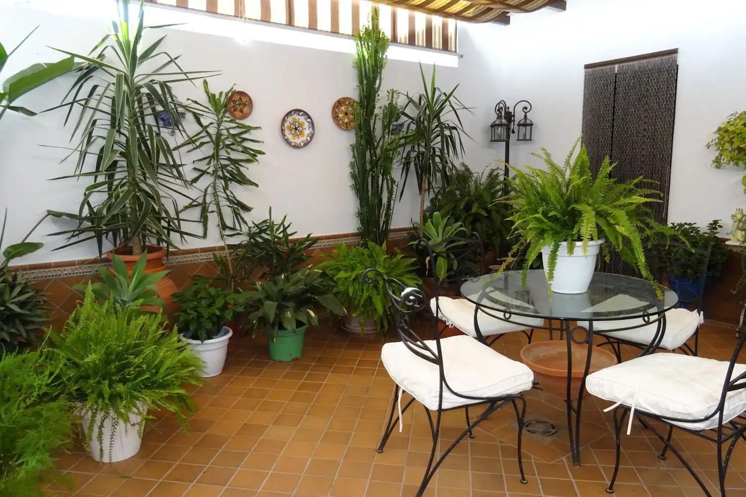 Adossat en venda a Almonte ciudad