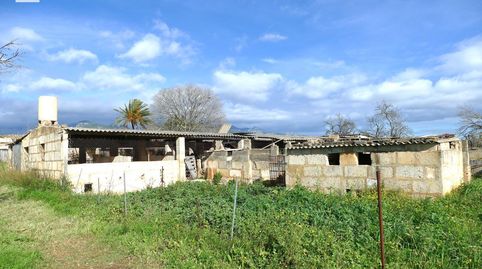 FINCA RÚSTICA DE 22.950 M2 CON DIVERSAS EDIFICACIONES A REFORMAR, imagen 2