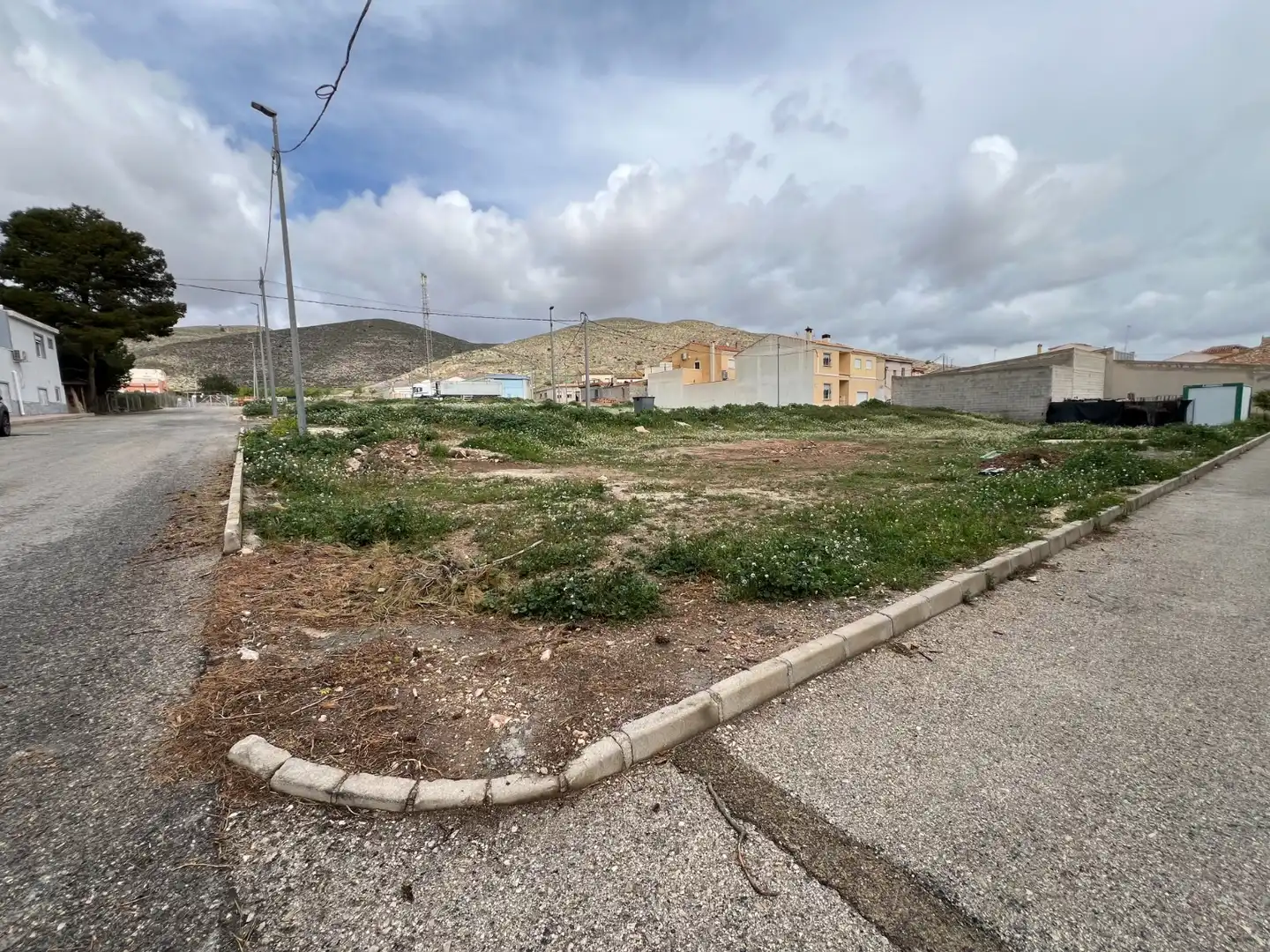 Terreno rustico in vendita a Hondón de los Frailes, imagen 3
