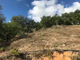 Terreni e lotti in vendita a Cortegana, imagen 8