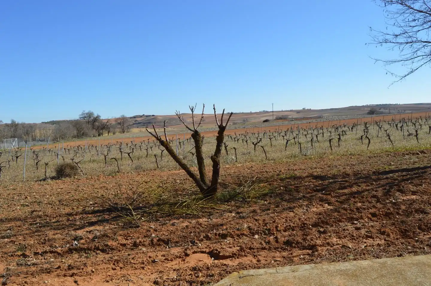 Terrenys i solars en venda a Tarancón, imagen 15