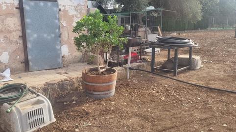 Photo 5 of Country house for sale in Centro, Inca