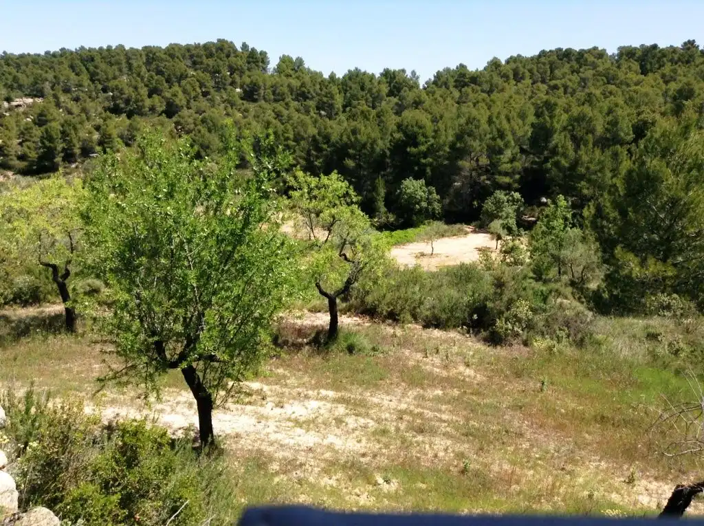 Terreni e lotti in vendita a Arens de Lledó, imagen 8