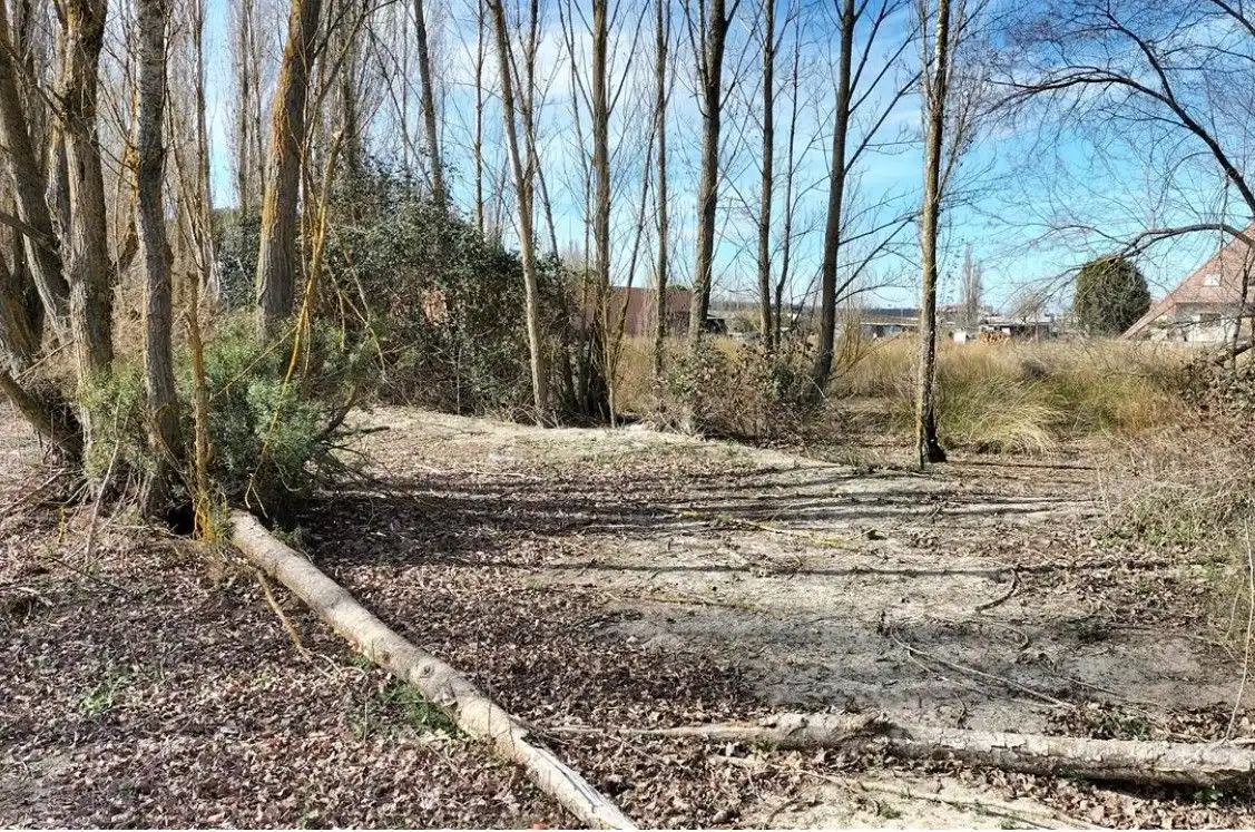 Rural land for sale in Paloma 4, imagen 10