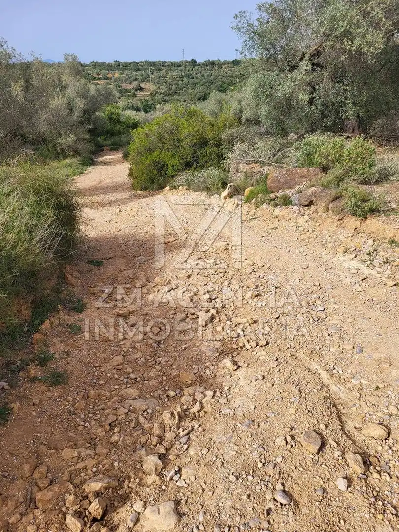 Terreno rustico in vendita a Corral de la Culla, imagen 9