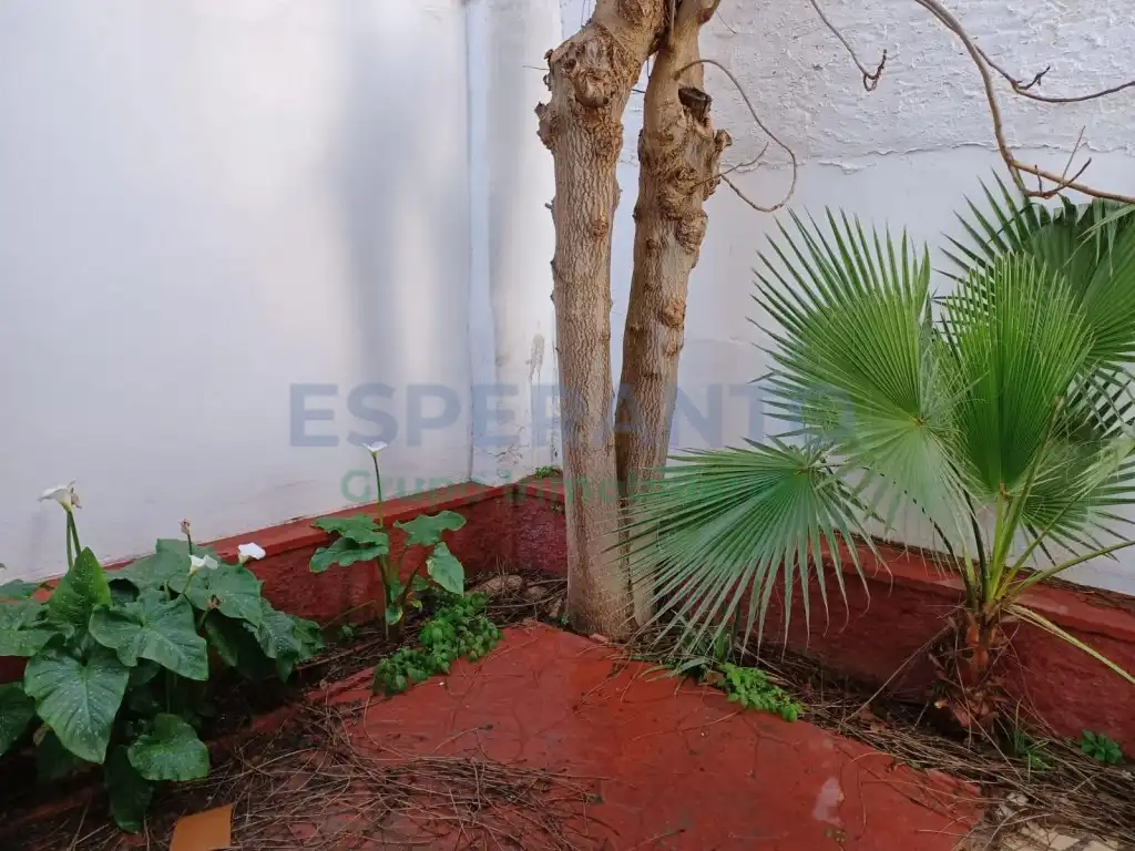 Mini appartamento con giardino in affitto a C. Ventura de la Vega, imagen 2