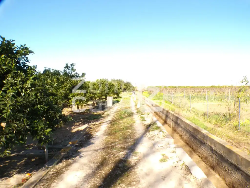 Maison rustique à vendre à Partida Torreta La, imagen 5