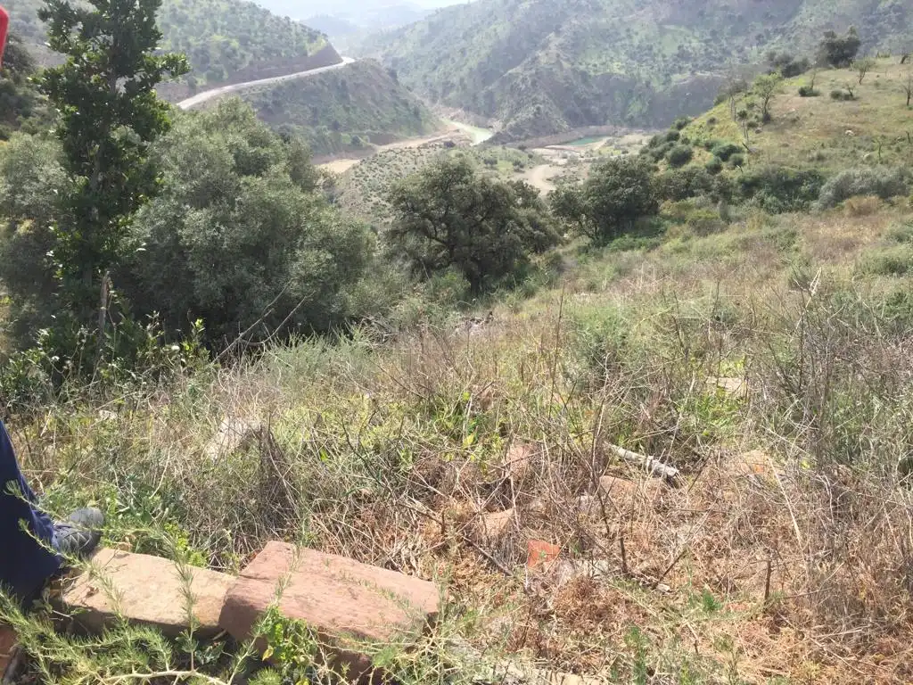 Terreno rústico en venta en Almogía, imagen 7