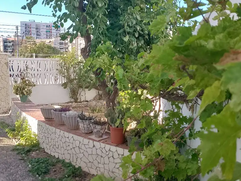 Xalet amb jardí en venda a Passeig de Francesc Macià 20, imagen 3