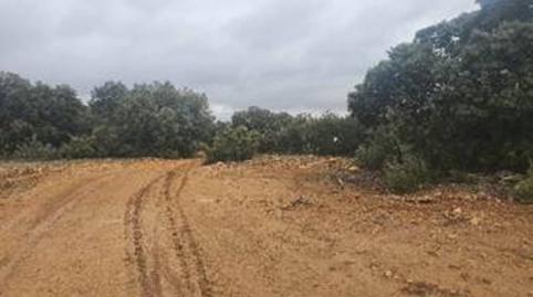 Foto 3 de Terreno en venta en Casas de Lázaro, Albacete