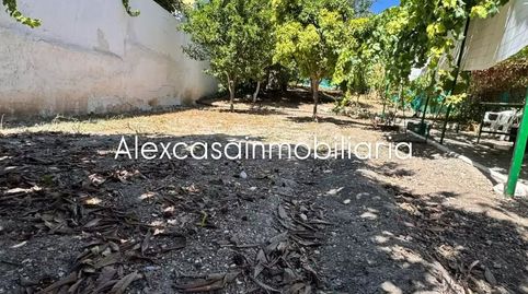 TERRENO RUSTICO, immagine 2