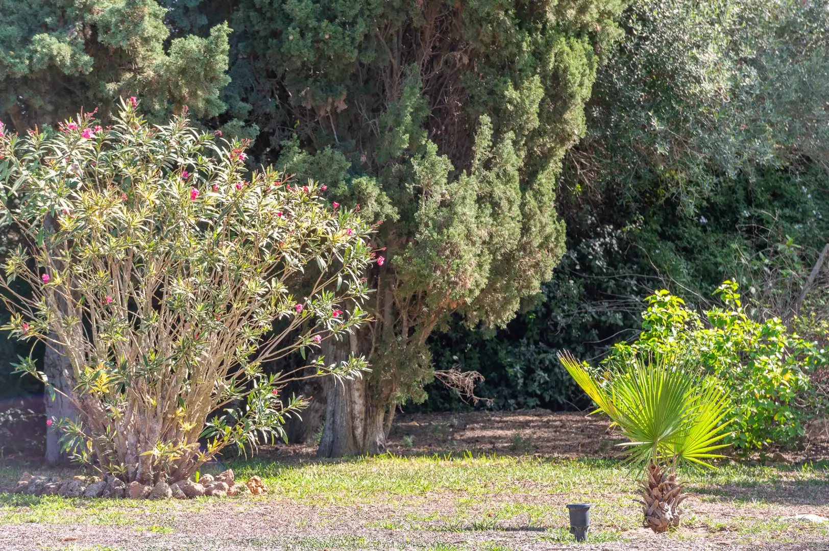 Finca rústica en venda a Diseminado Poligono 8, 15, S'Alquería Blanca - Calonge