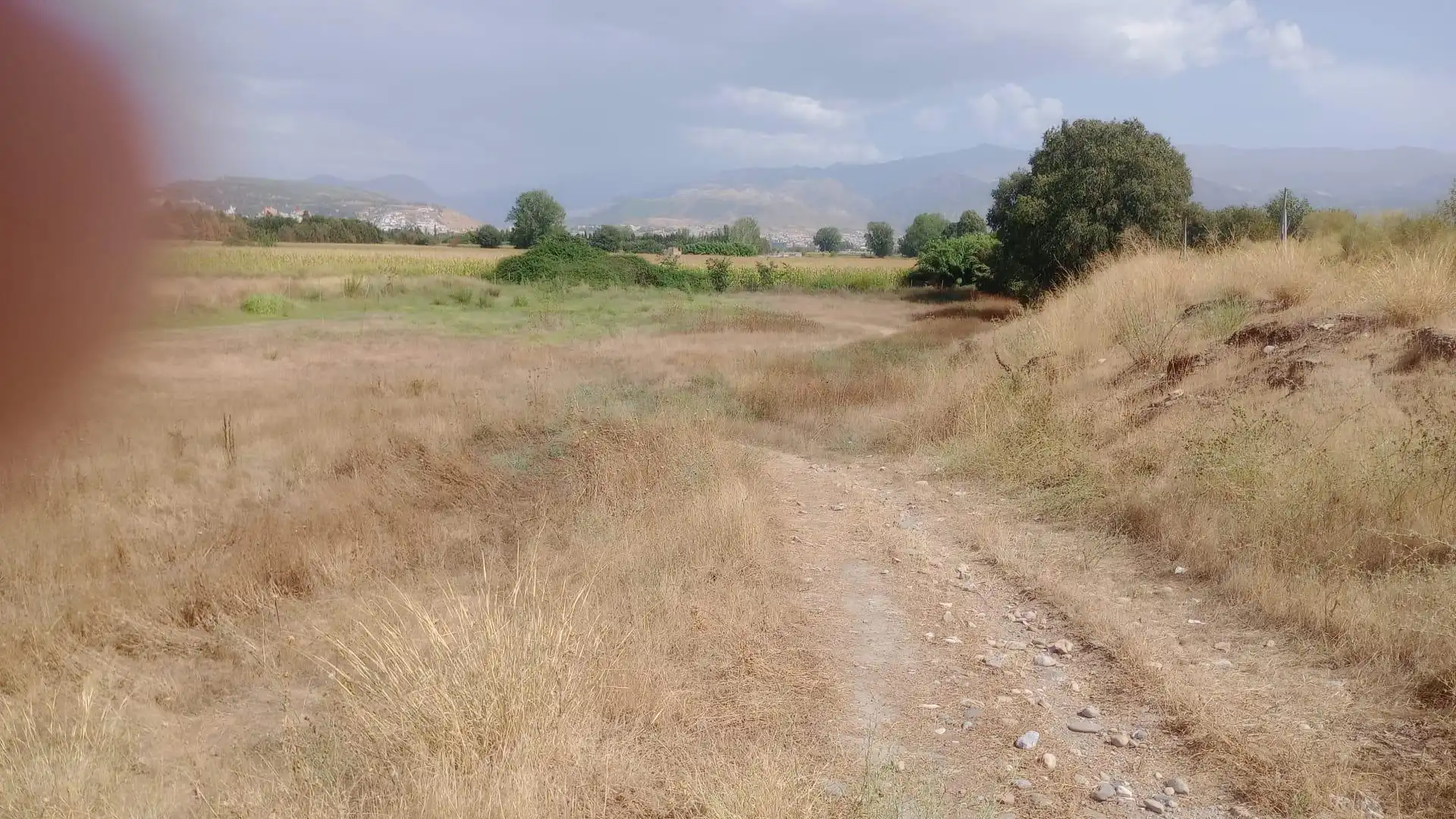 Terreno rustico in vendita a Ronda, imagen 5
