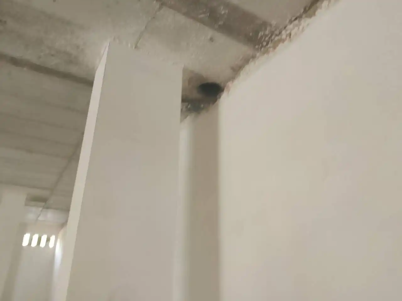 Schlafzimmer von Geschaftsraum zur Miete in Tavernes de la Valldigna