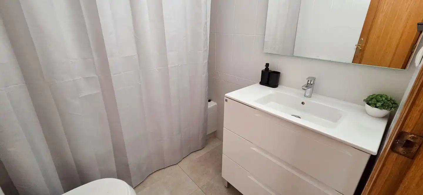 Bathroom of Flat for rent in Alicante / Alacant  with Furnished and Community pool