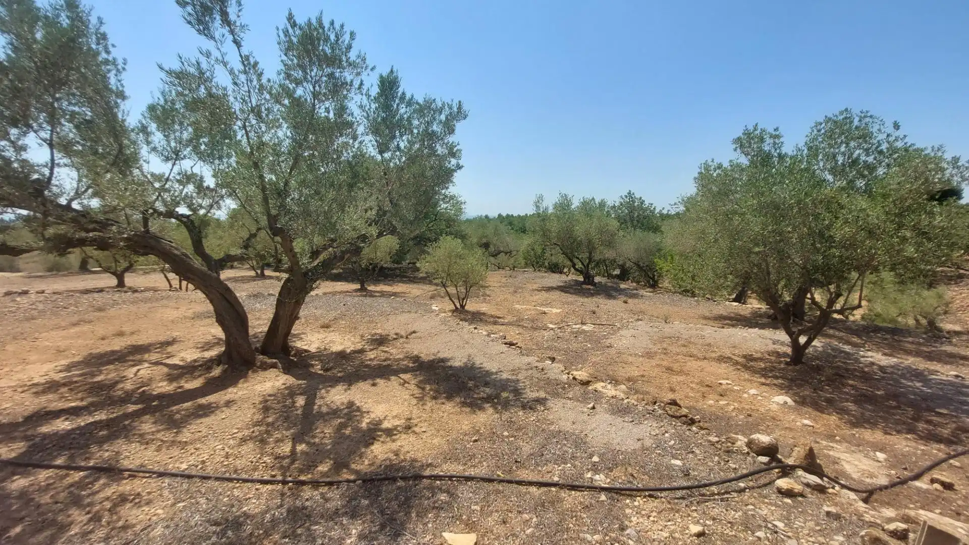Maison rustique à vendre à L'Ampolla, imagen 15