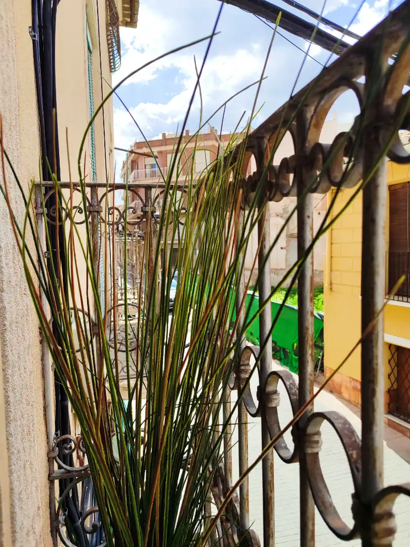 Terraza de Casa o chalet en venta en Aspe con Trastero y Balcón
