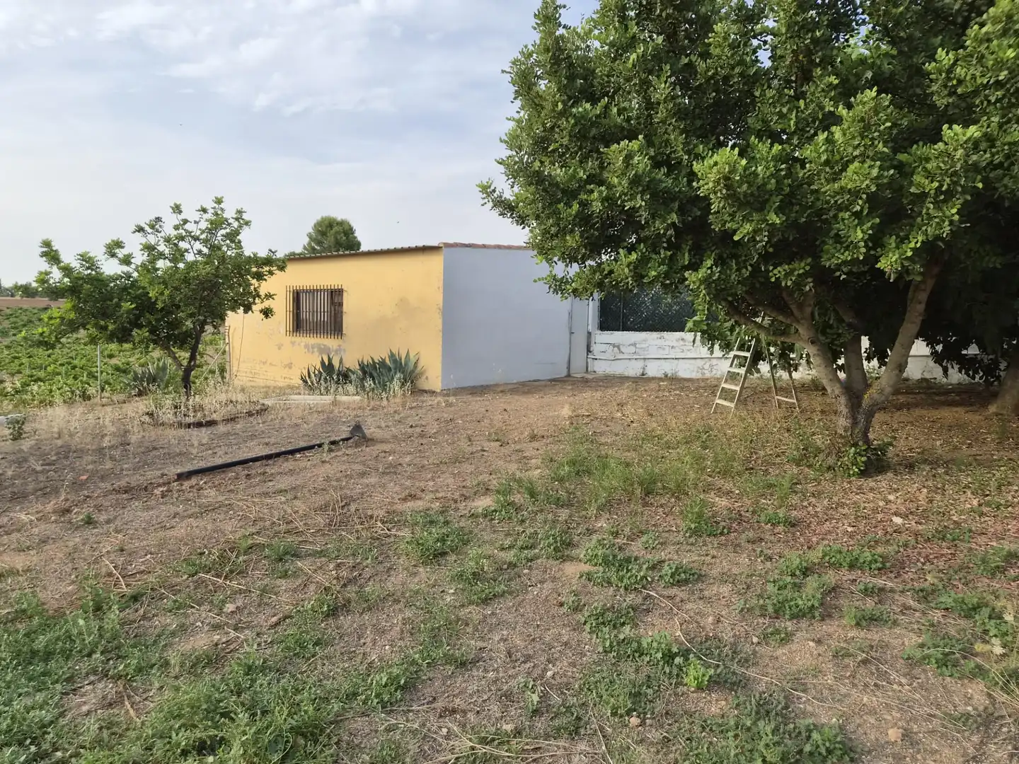 Casa o chalet en venta en Almendralejo con Aire acondicionado, Calefacción y Jardín privado