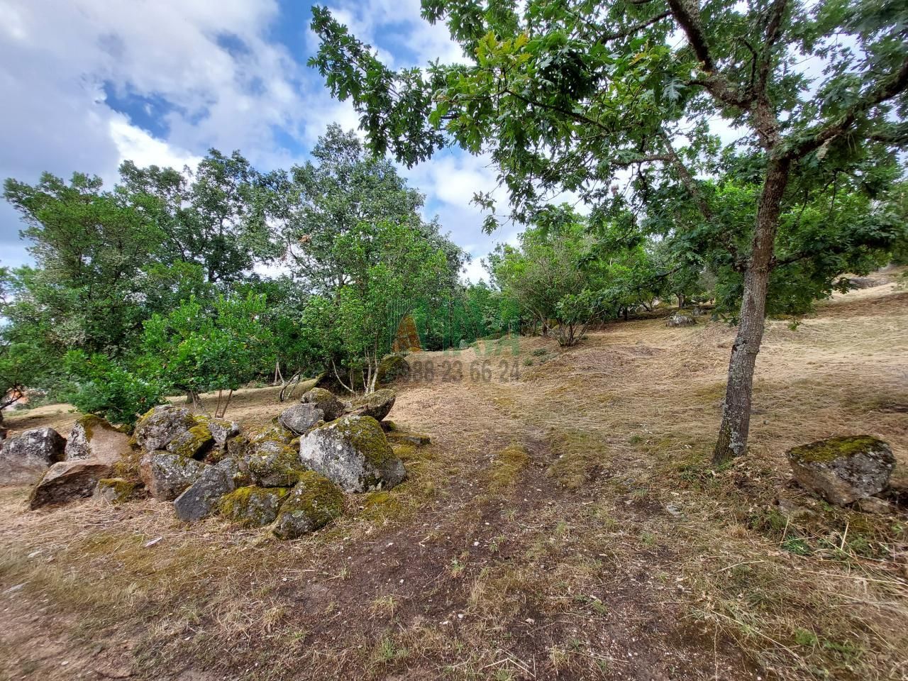 Residential for sale in Ourense Capital 