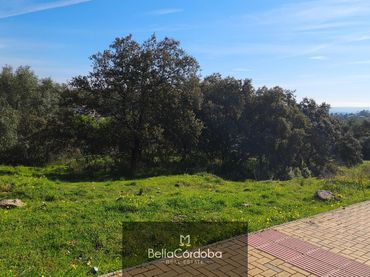 Terreno rustico in vendita a Norte-Sierra