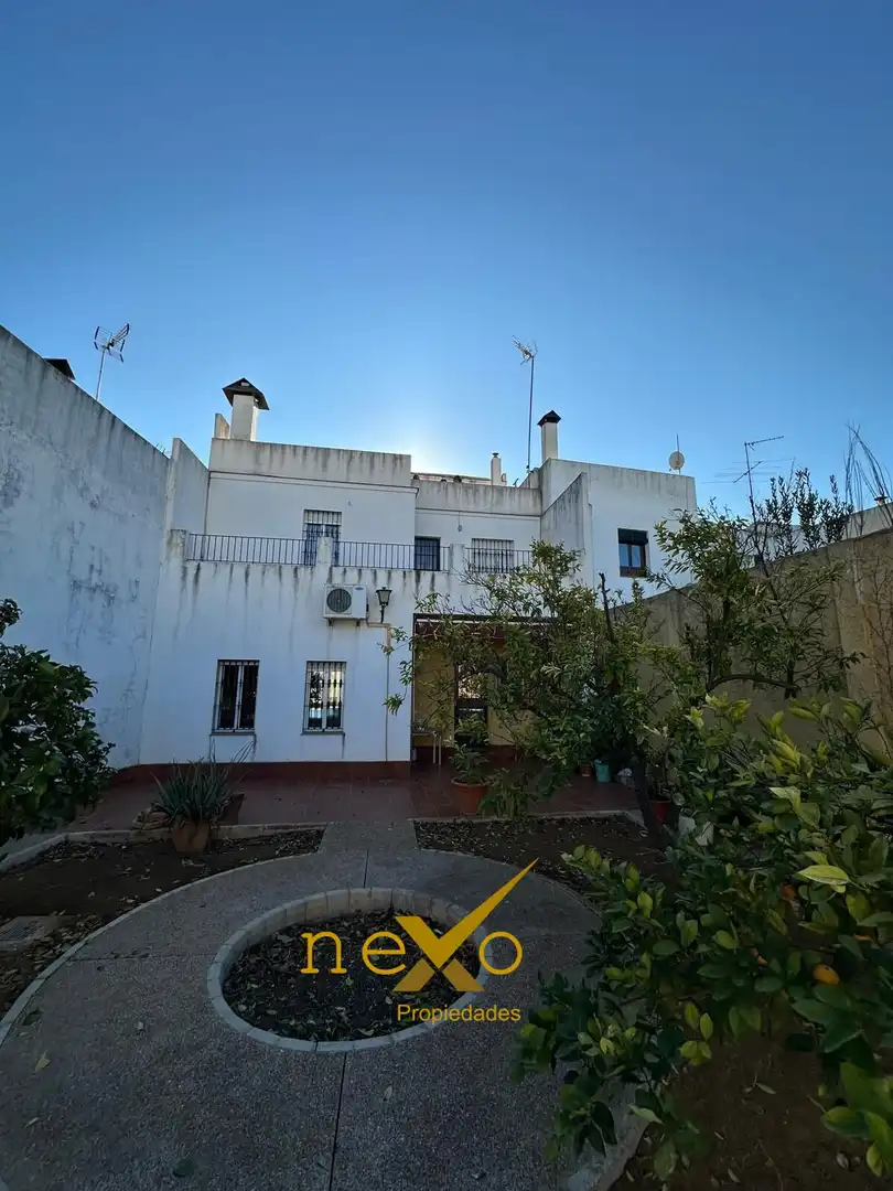 Vista exterior de Casa o chalet en venta en Carmona con Jardín privado y Piscina