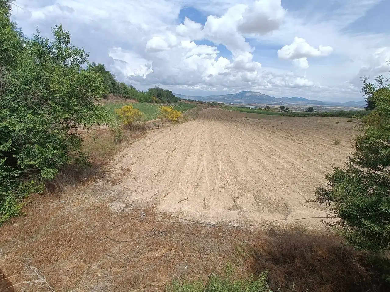Rural land for sale in Moraleda de Zafayona, imagen 6