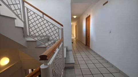 Photo 4 of Apartments for rent in Camino Gójar, 50, La Zubia Ciudad, La Zubia