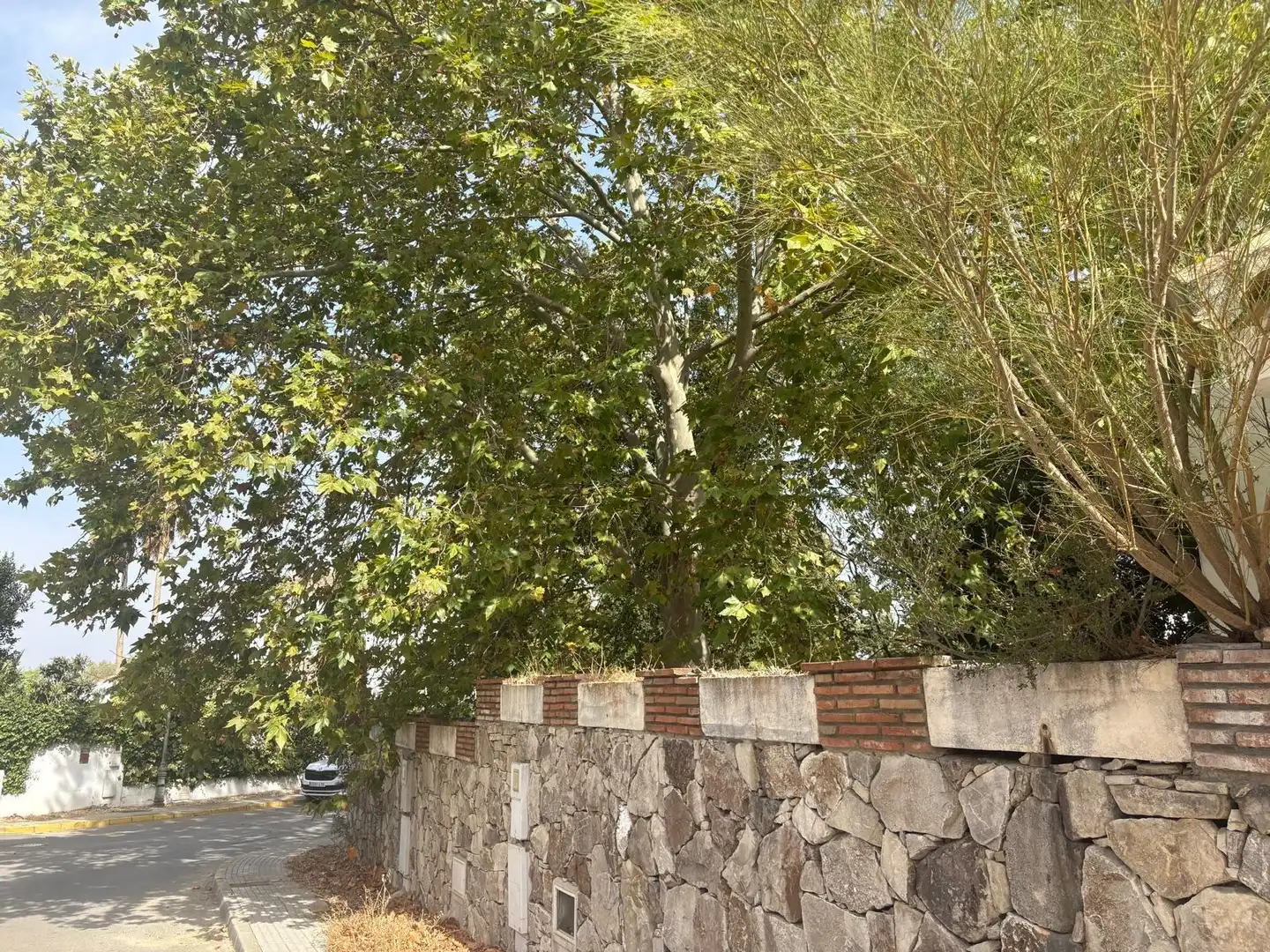 Vista exterior de Casa o chalet en venta en Benalup-Casas Viejas con Jardín privado, Trastero y Piscina