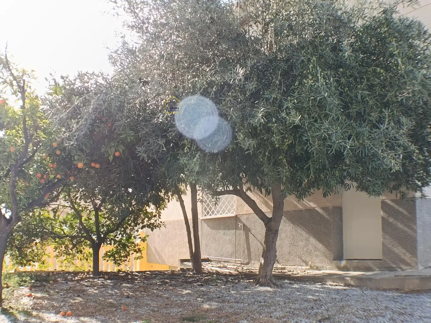 Casa o chalet en venta en Tercia