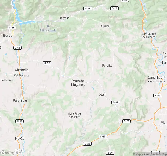 Pis en venda en Prats de Lluçanès