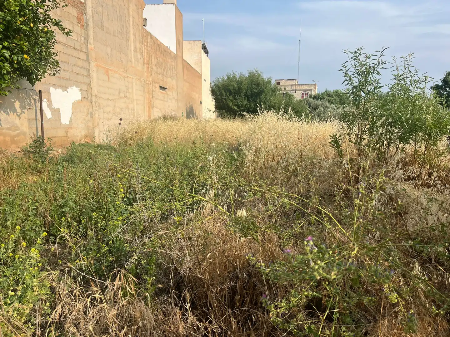 Rural land for sale in Calle Verano, imagen 10