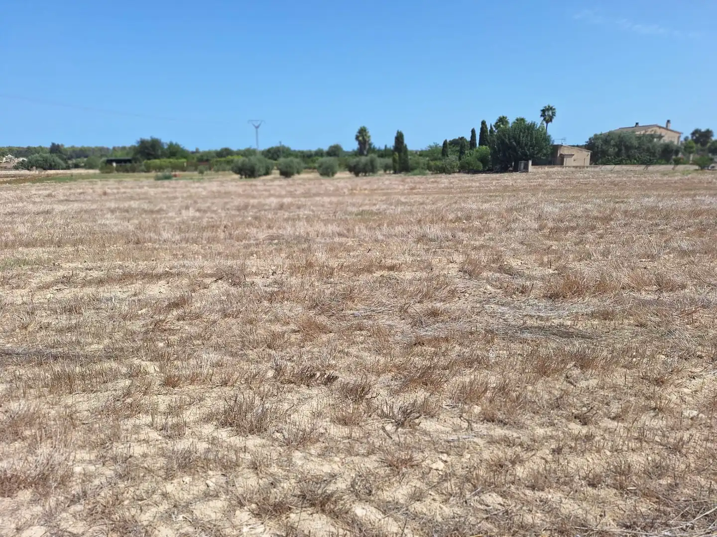 Terrenys i solars en venda a Sineu, imagen 13