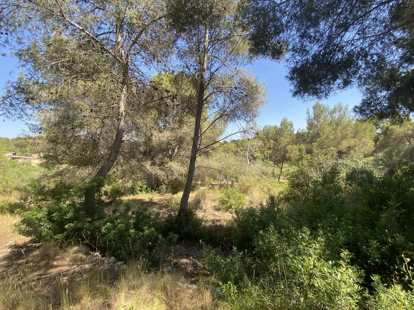Residential land for sale in Urbanitzacions de Llevant, imagen 24