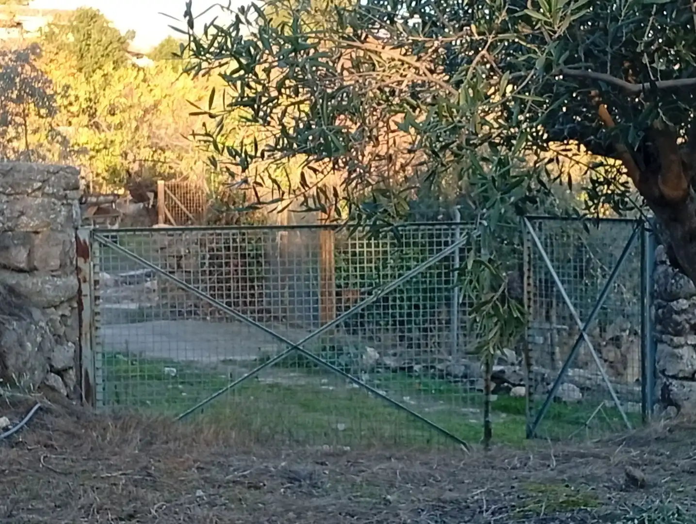 Terreni e lotti in vendita a Villanueva de la Vera, imagen 77