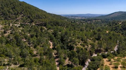 Photo 3 of Country house for sale in Son Roca, Illes Balears