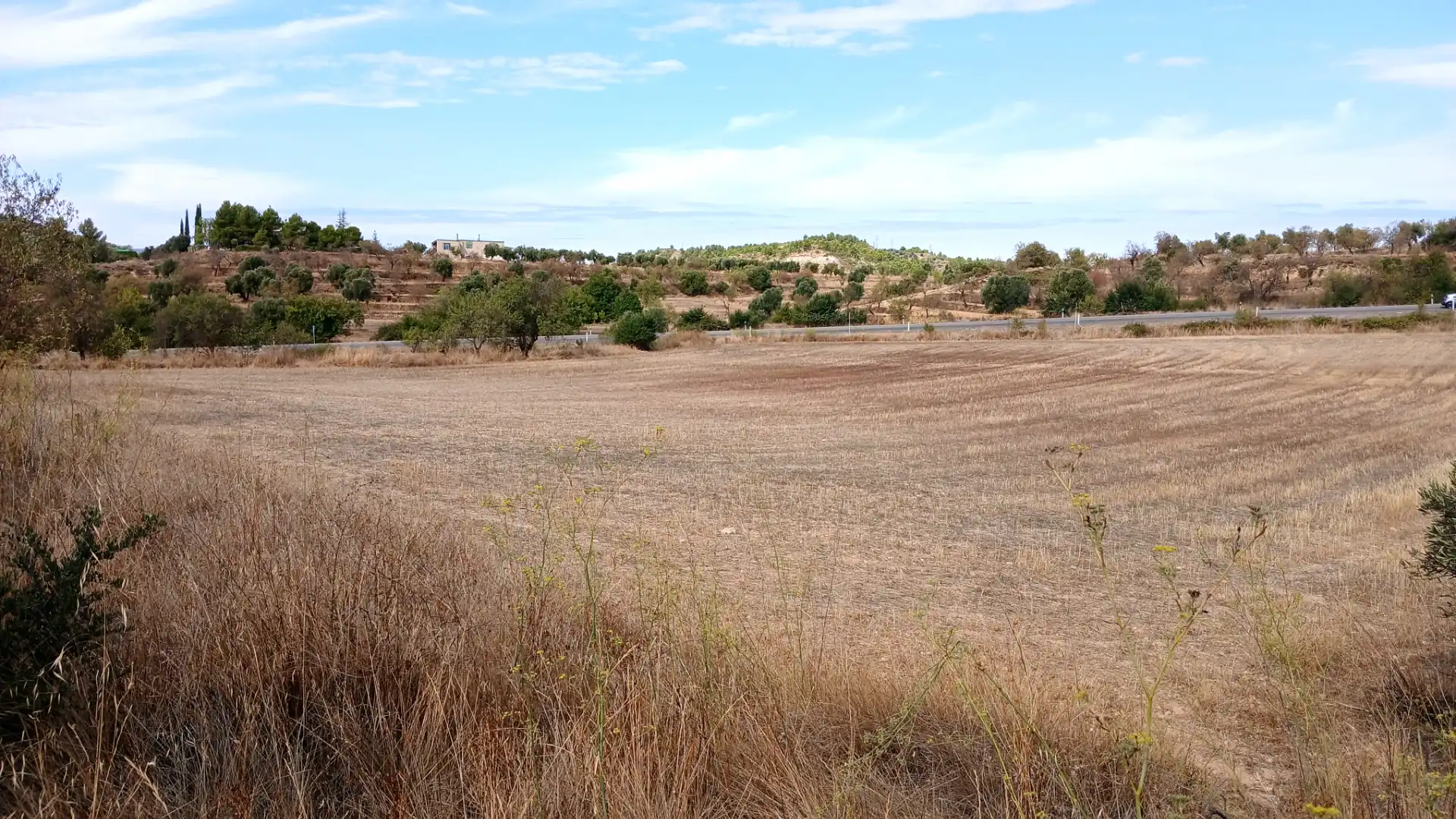 Rustikales Grundstück zum Verkauf in Carretera Tortosa 3, imagen 11