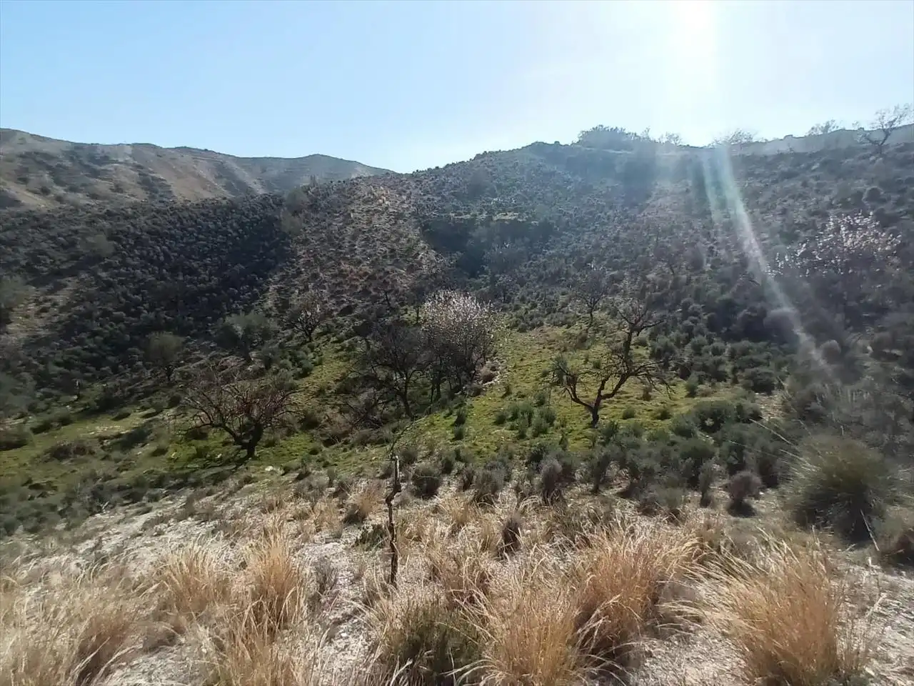 Residencial en venda en Cantoria