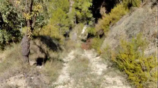 Rural land for sale in Penàguila