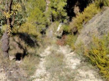 Terreno rústico en venta en Penàguila