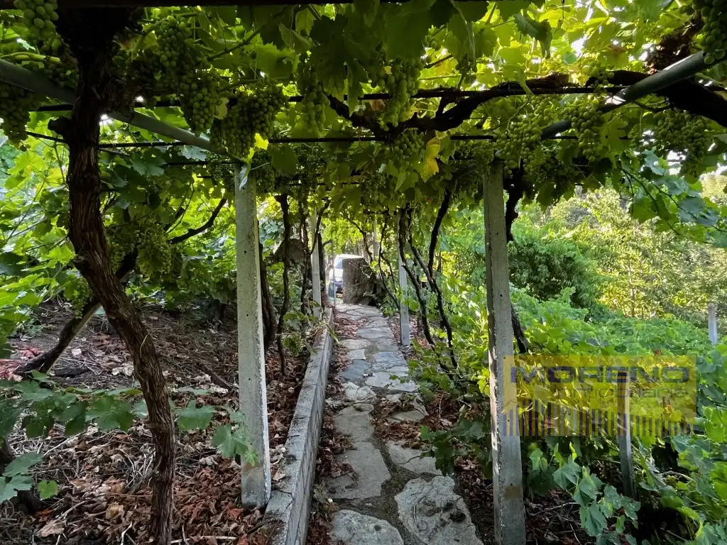 Country house for sale in Paradela, imagen 18