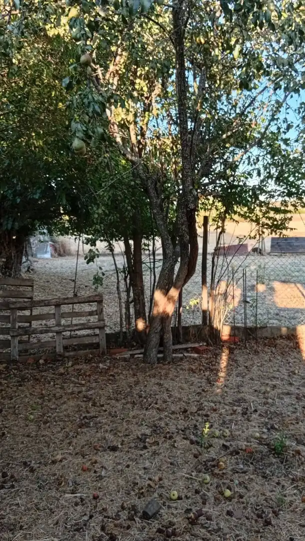 Terreny residencial en venda a Aldea del Cano, imagen 7