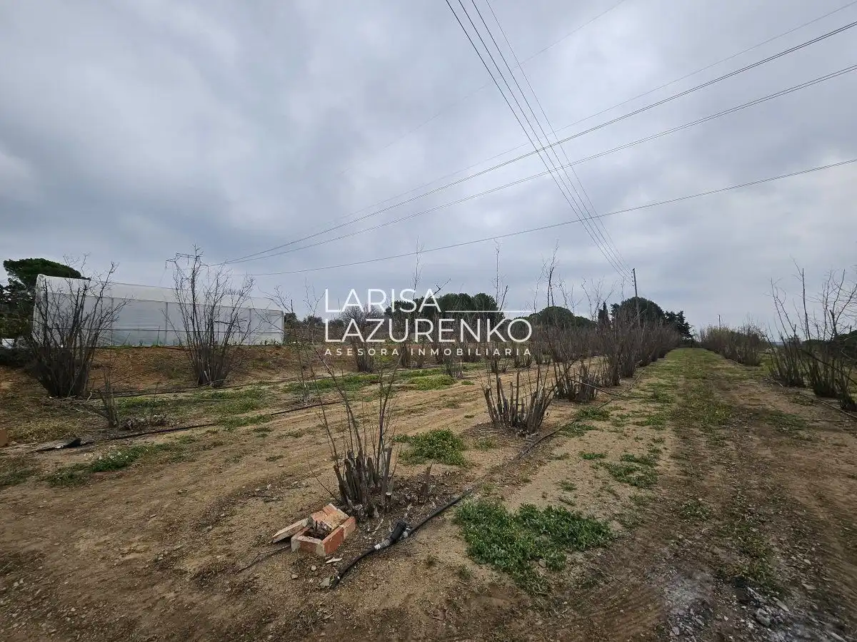 Finca rústica en venda en Riudoms