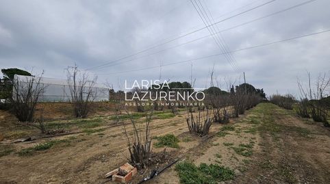 Foto 3 de Finca rústica en venta en N/a, Riudoms, Tarragona