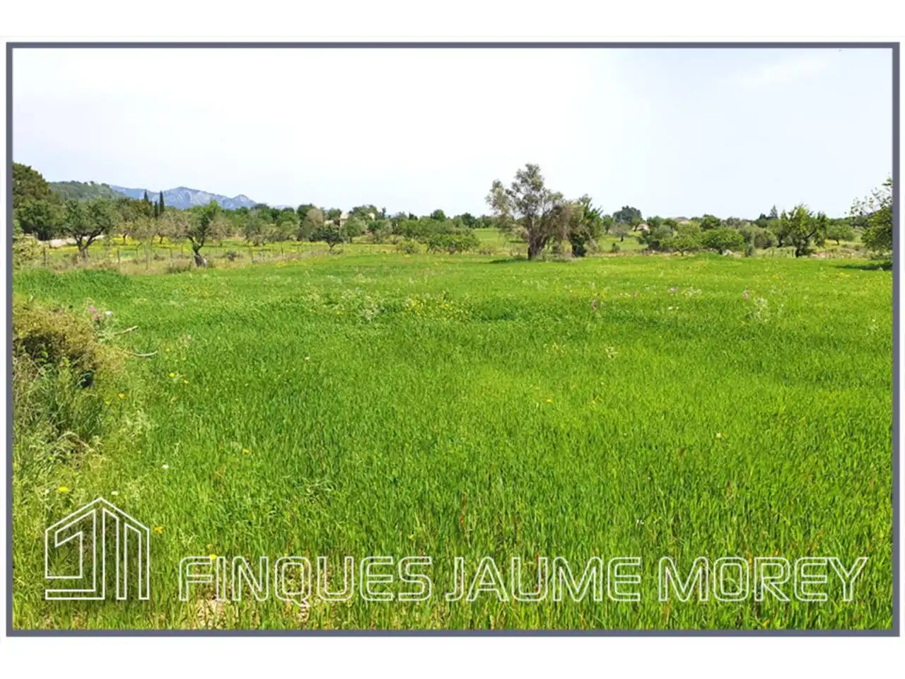 Terrain rustique à vendre à Poligono 12 Sn, imagen 4