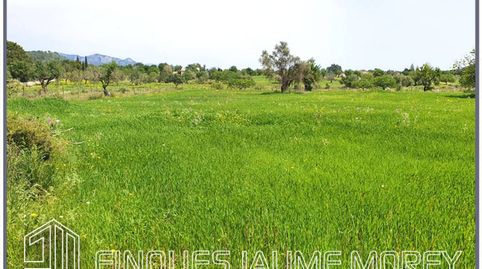 Terreno en venta en Biniamar, immagine 4