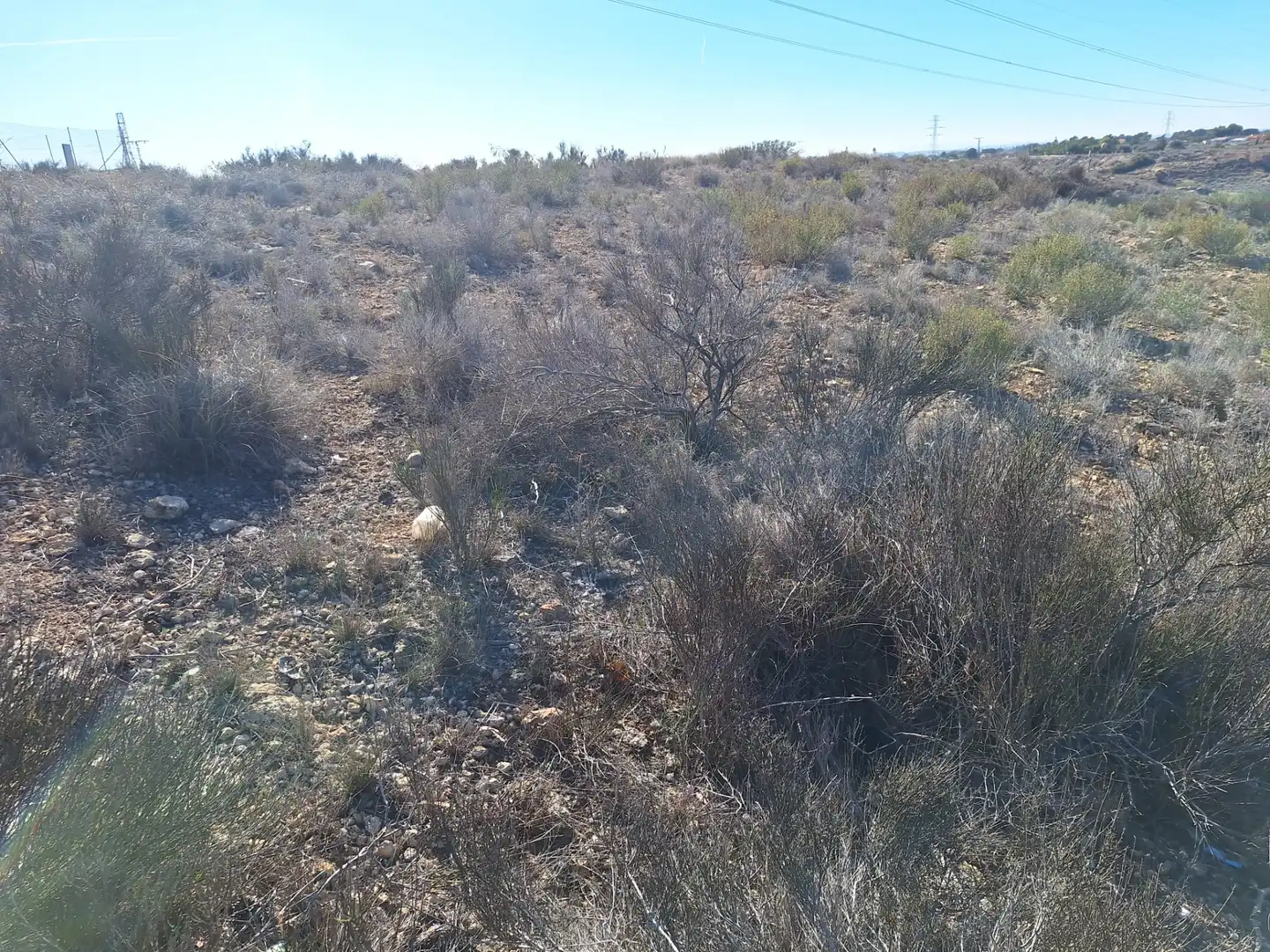 Rural land for sale in Villamontes - Boqueres
