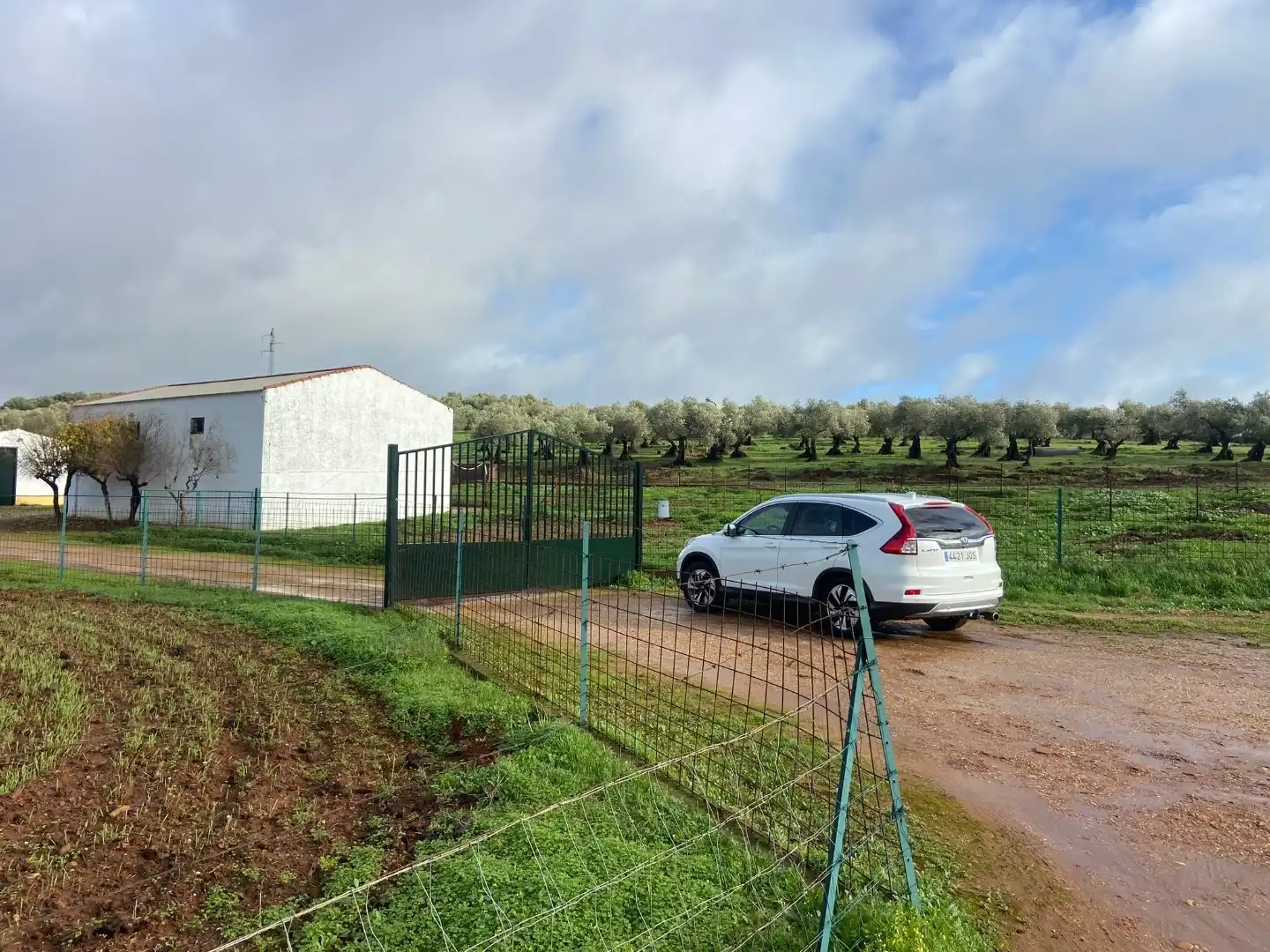 Grundstücke zum Verkauf in Olivenza