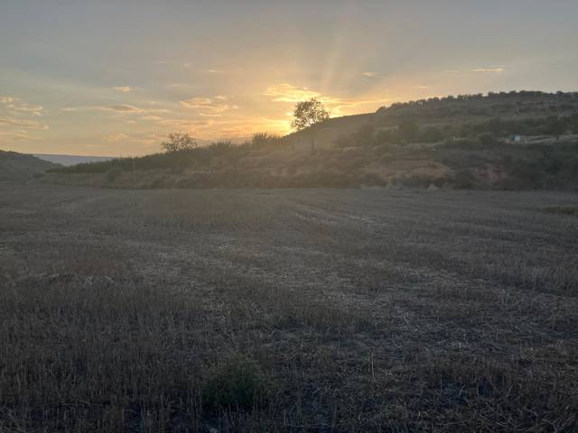 Terreno en Venta en A-1234 en Zaidín