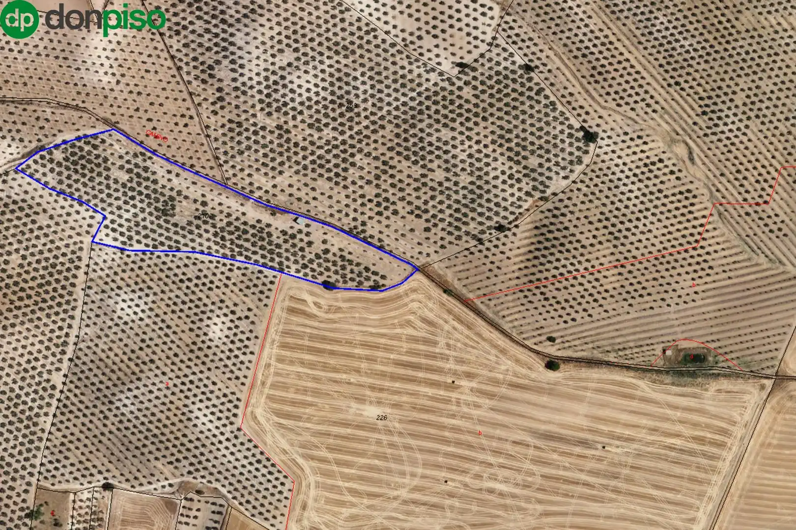 Terreni e lotti in vendita a LLANO SALVIAR Polígono: 13, Parcela: 209 y 277, imagen 8
