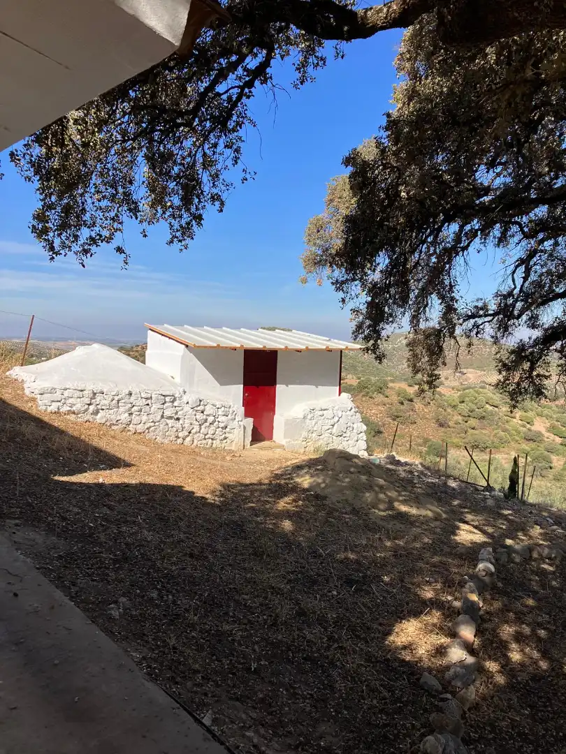 Vista exterior de Casa o chalet en venta en La Puebla de Cazalla con Jardín privado y Alarma